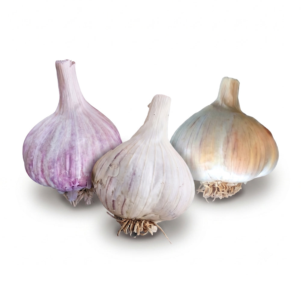The Roaster’s Garlic Bundle