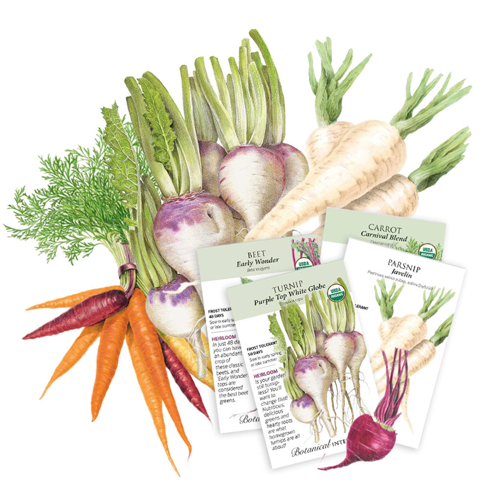 Root & Store