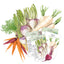 Root & Store
