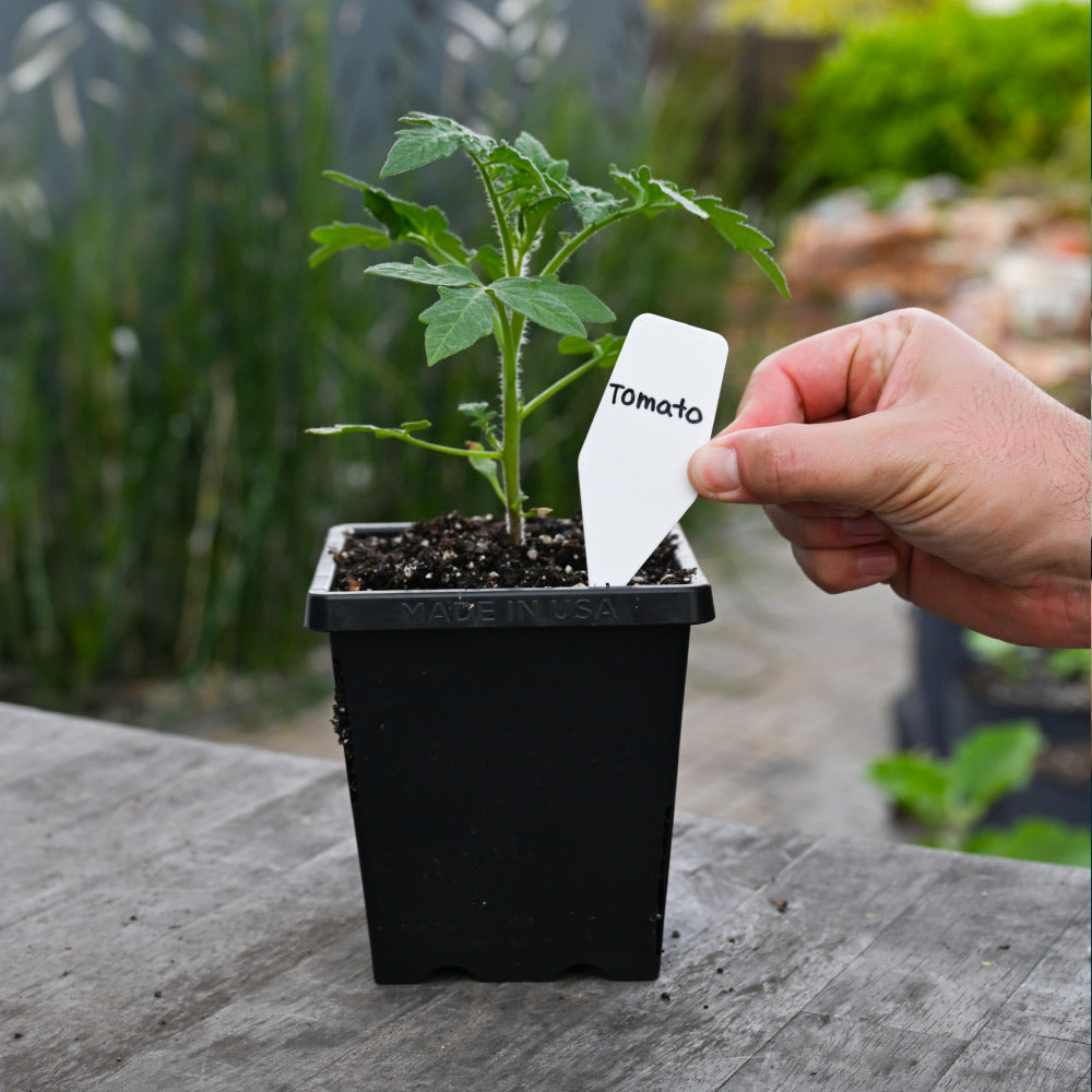 Epic Garden in a Box – Epic Gardening