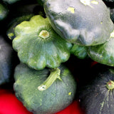 Scallop Blend Summer (Patty Pan) Squash Seeds