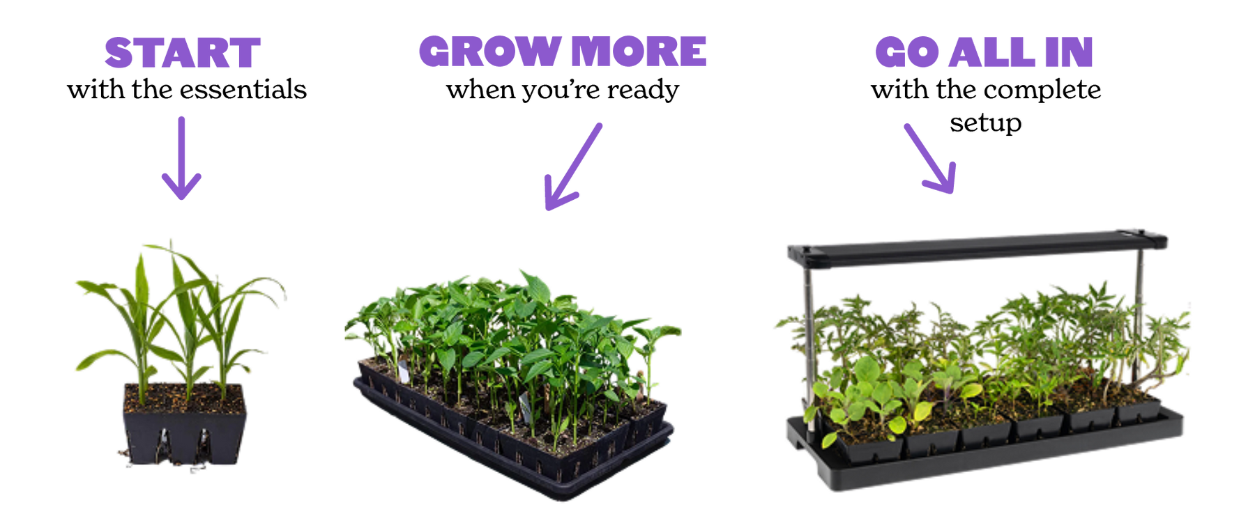 Seed starting products