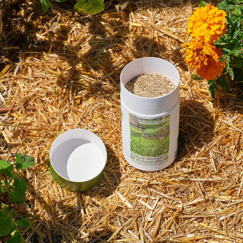 EcoEase Microclover and Fescue Mix Alternative Lawn Seed Shaker