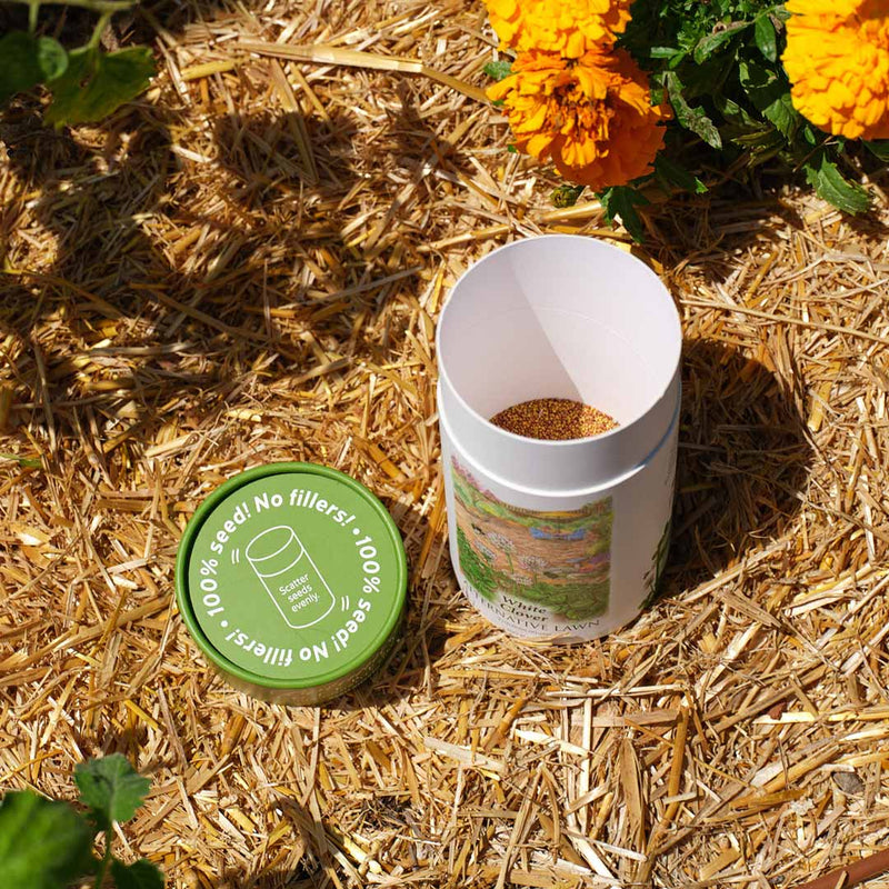 best way to plant clover seed White Clover Alternative Lawn Seed Shaker – Epic Gardening