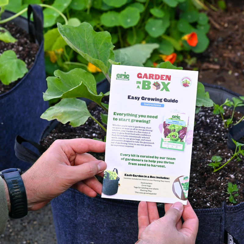 Epic Snack Attack (Level 1)