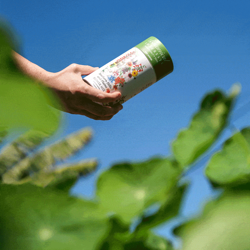 Southern Hills and Plains Flower Mix Seed Shaker