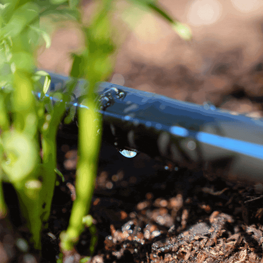 Enjoy hands-free watering