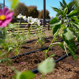 Epic Garden Watering System: Starter Kit