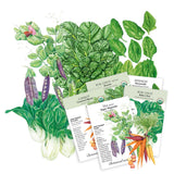 Stir Fry Garden