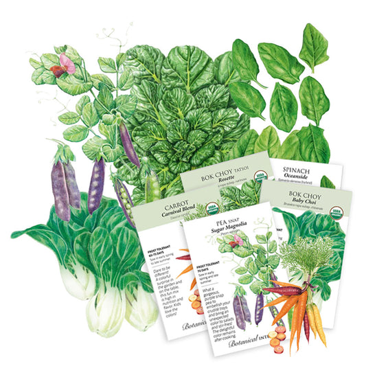 Stir Fry Garden