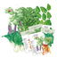 Stir Fry Garden