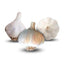 Cool Climate Garlic Bundle (Zone 6)