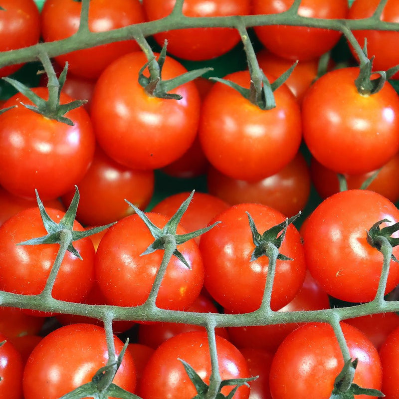 Sweetie Pole Cherry Tomato Seeds