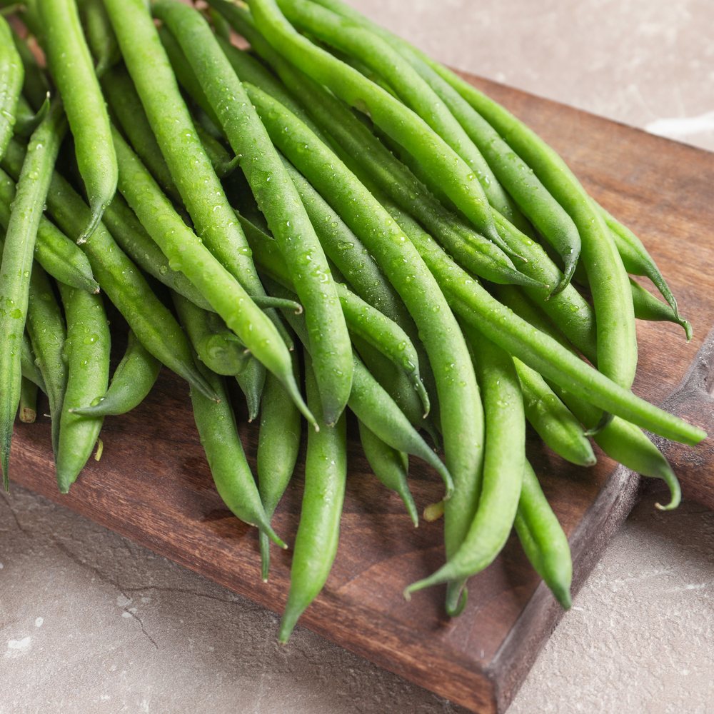 Tavera Filet Bush Bean Seeds