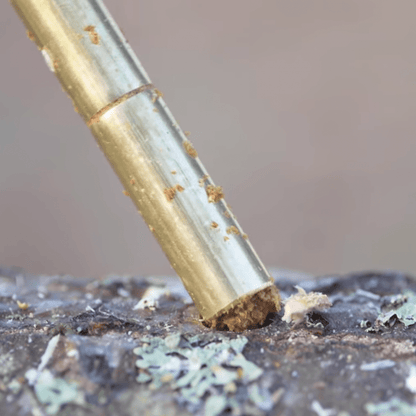 Sawdust Spawn Log Inoculation Trio of Tools