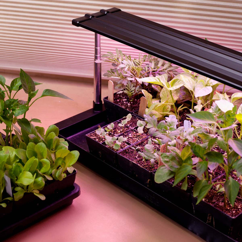master garden seed starter The Ultimate Seed Starting Kit