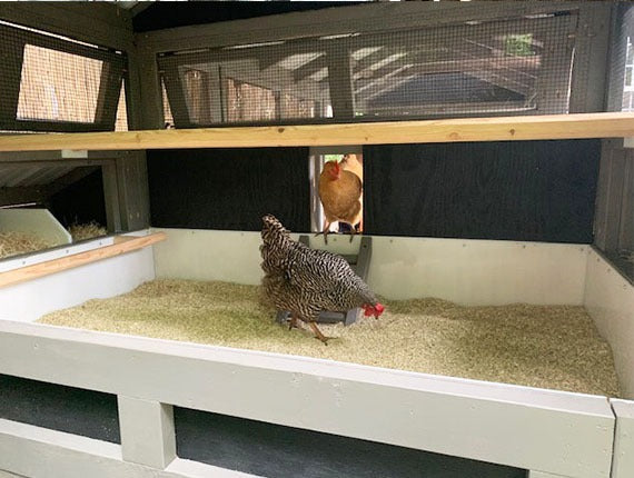 Carolina Coops® Hemp Poultry Bedding