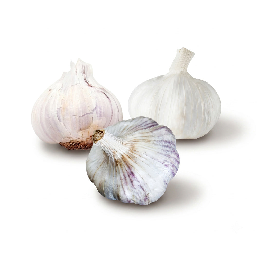Warm Climate Garlic Bundle (Zones 10-13)