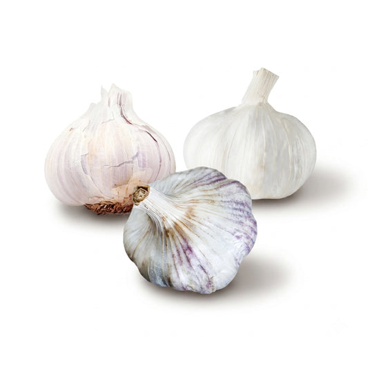 Warm Climate Garlic Bundle (Zones 10-13)