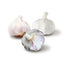 Warm Climate Garlic Bundle (Zones 10-13)