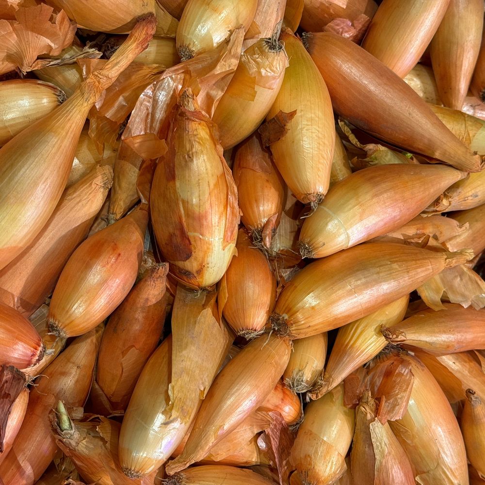 Botanical Interests Zebrune Shallot Onion Seeds - Thumbnail 2