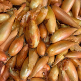 Zebrune Shallot Onion Seeds