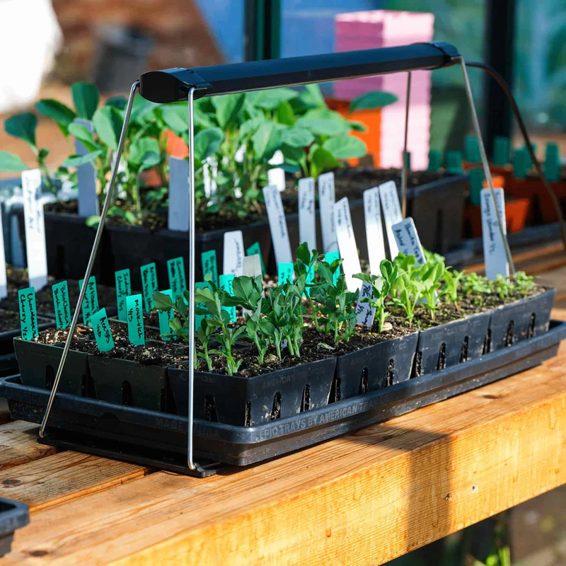 Epic Seed Starting Grow Light over labeled seedling trays
